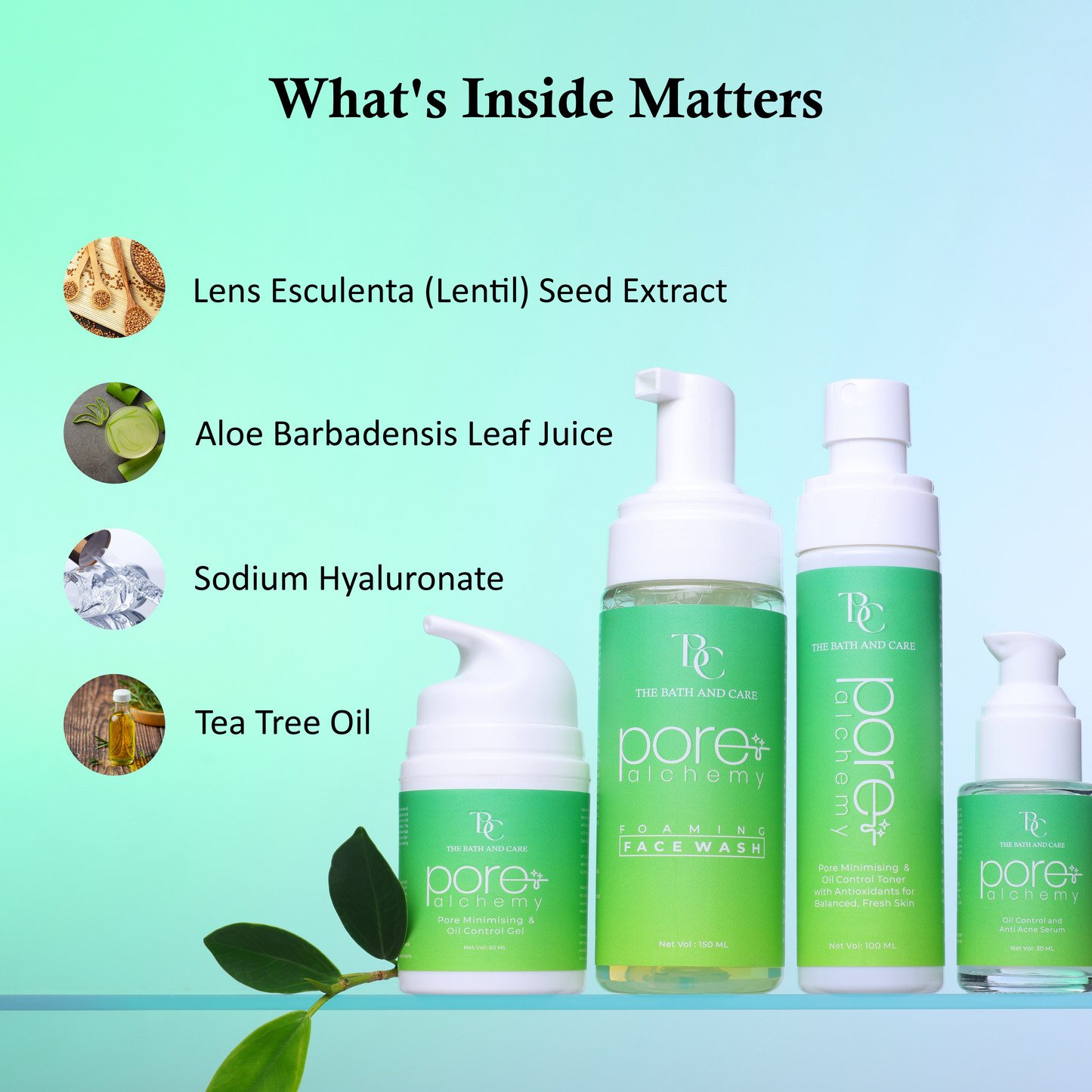 Oil Control Foaming Face Wash with Tea Tree Extract for Pore Minimizing The Bath and Care