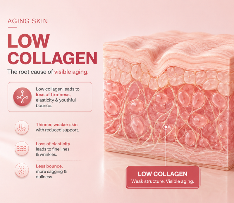 Firm Plump & Glow Collagen Jelly Cream | 100 g