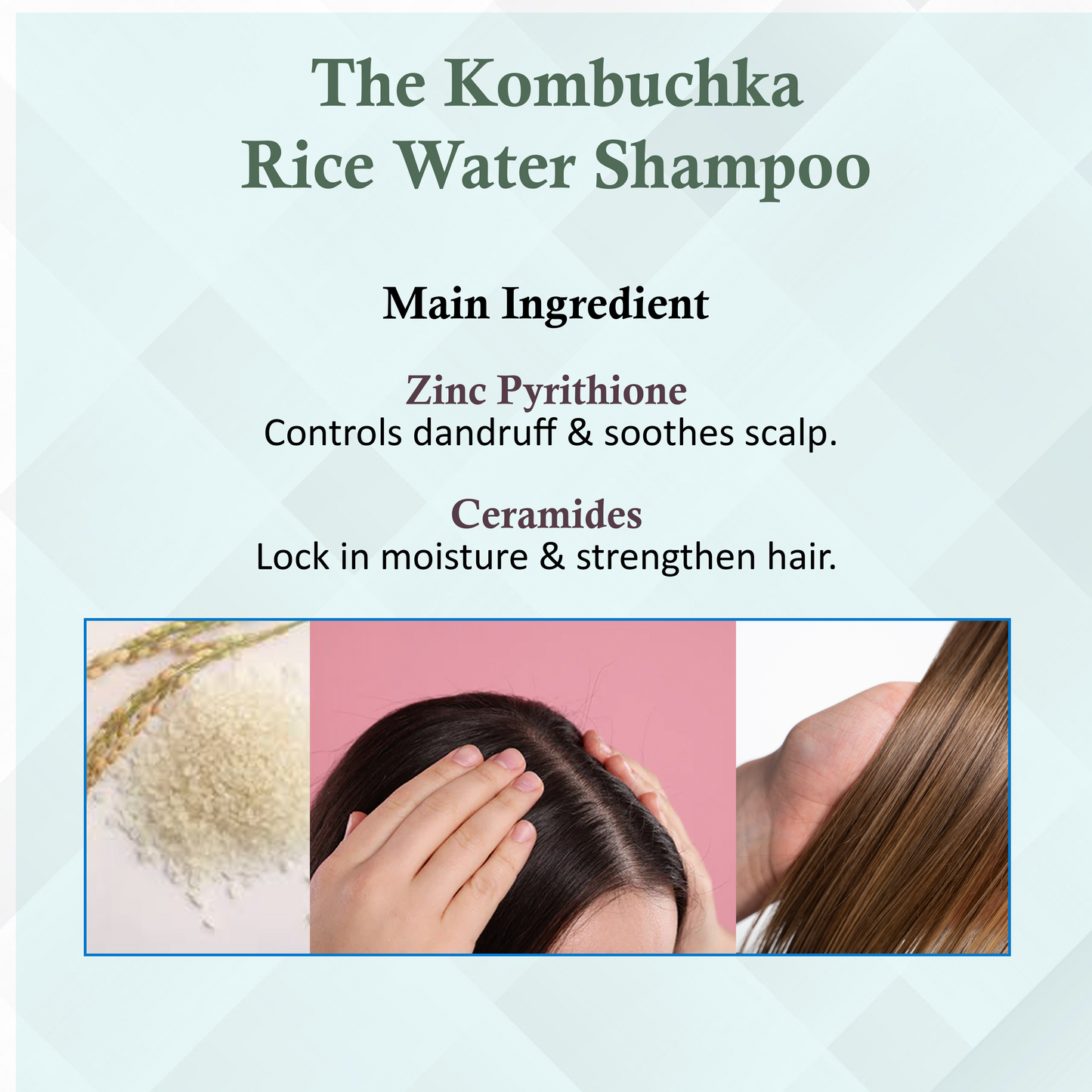 KOMBUCHKA RICE WATER SHAMPOO - DEFEND AND CONTROL The Bath and Care