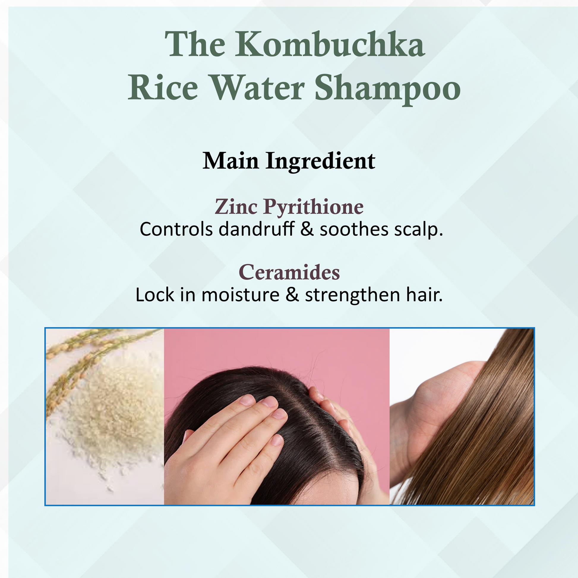 KOMBUCHKA RICE WATER SHAMPOO - DEFEND AND CONTROL The Bath and Care