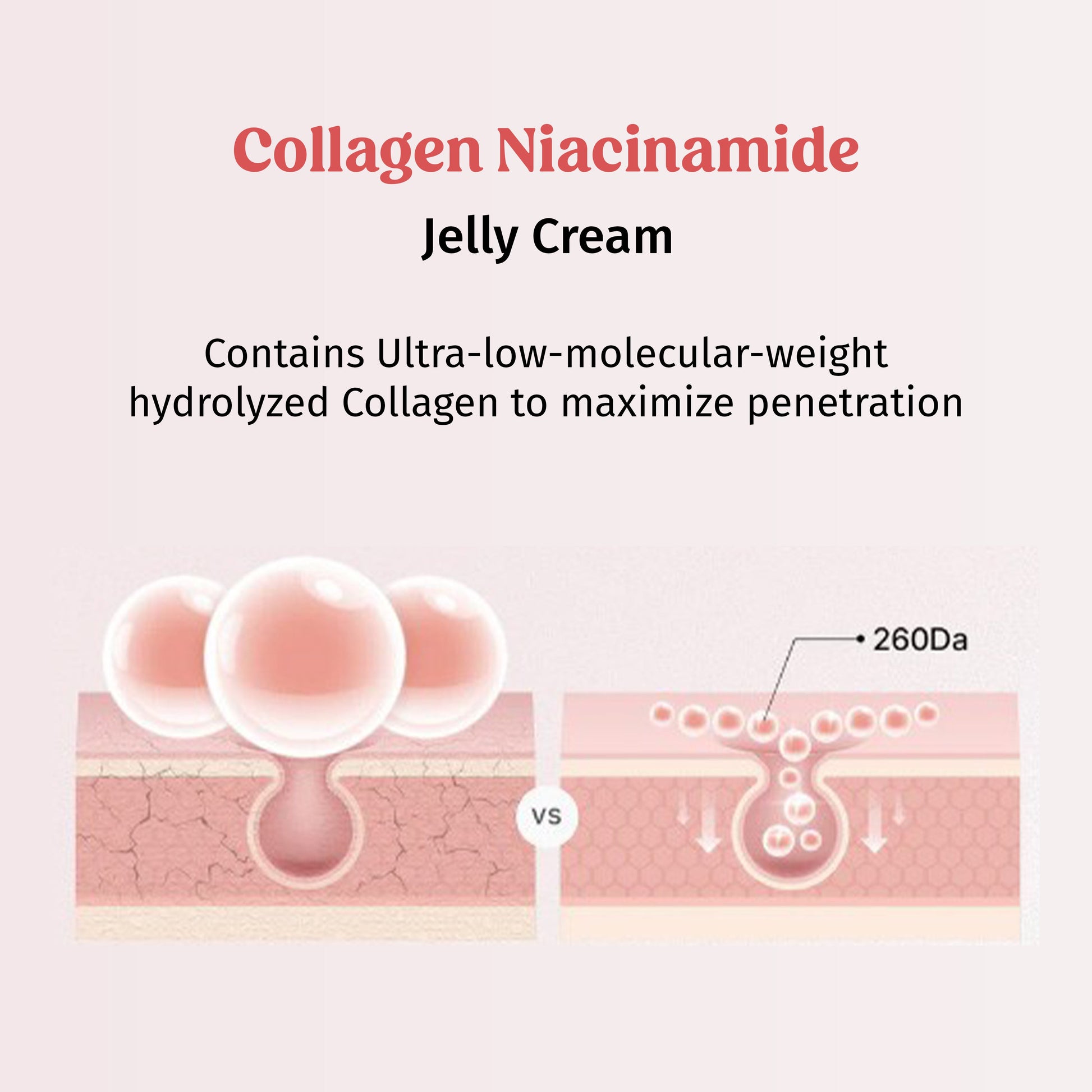 Firm Plump & Glow - Collagen Jelly Cream The Bath and Care