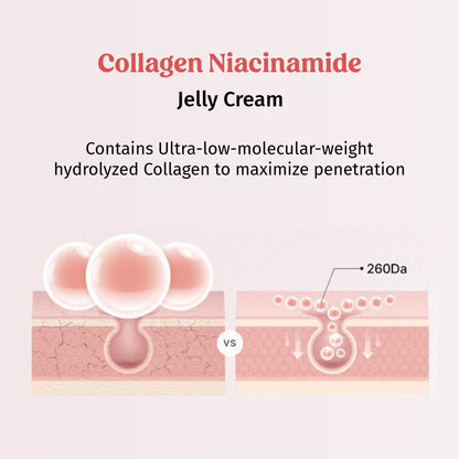 Firm Plump & Glow - Collagen Jelly Cream The Bath and Care